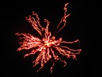 Fireworks 4