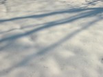 Highlight for Album: Shadows on the snow